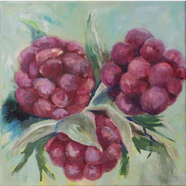 Von Elm Charlotte - Maline sa žutom crtom
