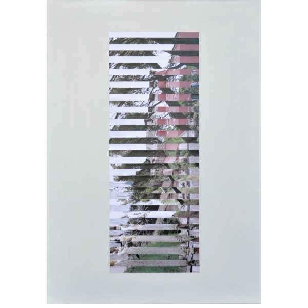 Elizabeta Avramovska - Rab Morphology 2