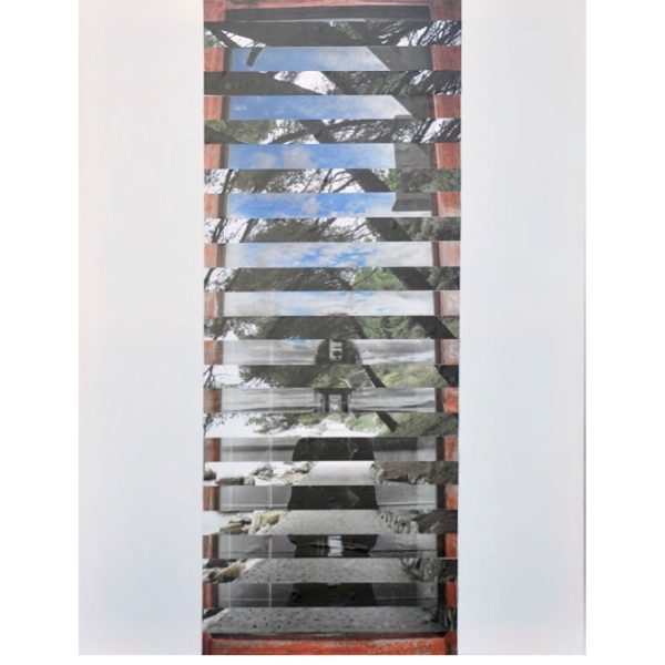 Elizabeta Avramovska - Rab Morphology 4