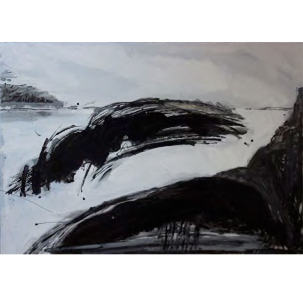 Egidio Budicin - Islands