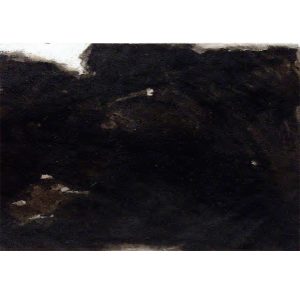 Budicin Egidio - Trakoscan Forests II
