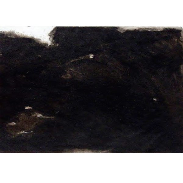 Budicin Egidio - Trakoscan Forests II