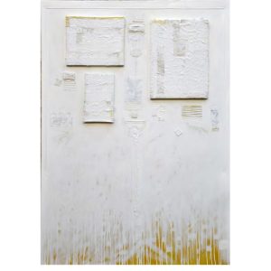 Džeko Hodžić - From the White Bat Series