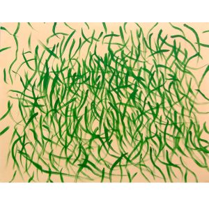 Marković Ivan - Seaweed 2