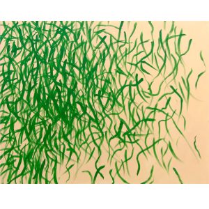 Marković Ivan - Sea Grass 3