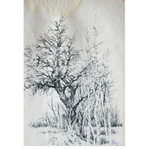 Rab - Trees