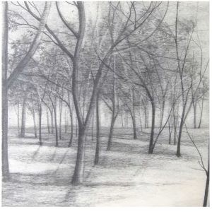Vicari Marika - Walking in Rab