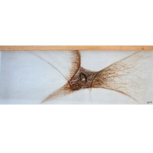 Durigatto Dino - Untitled 2