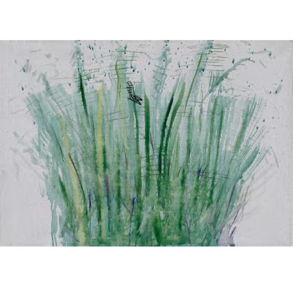 Dejan Kljun - Grasshopper