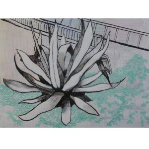 Vuković Nebojša - Agave