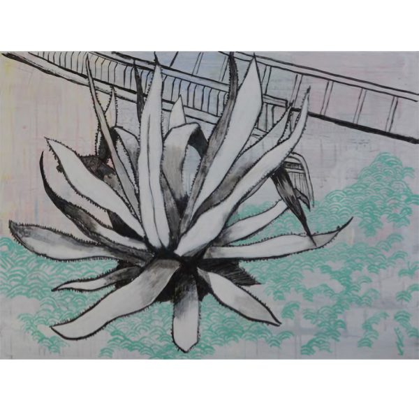 Vuković Nebojša - Agave